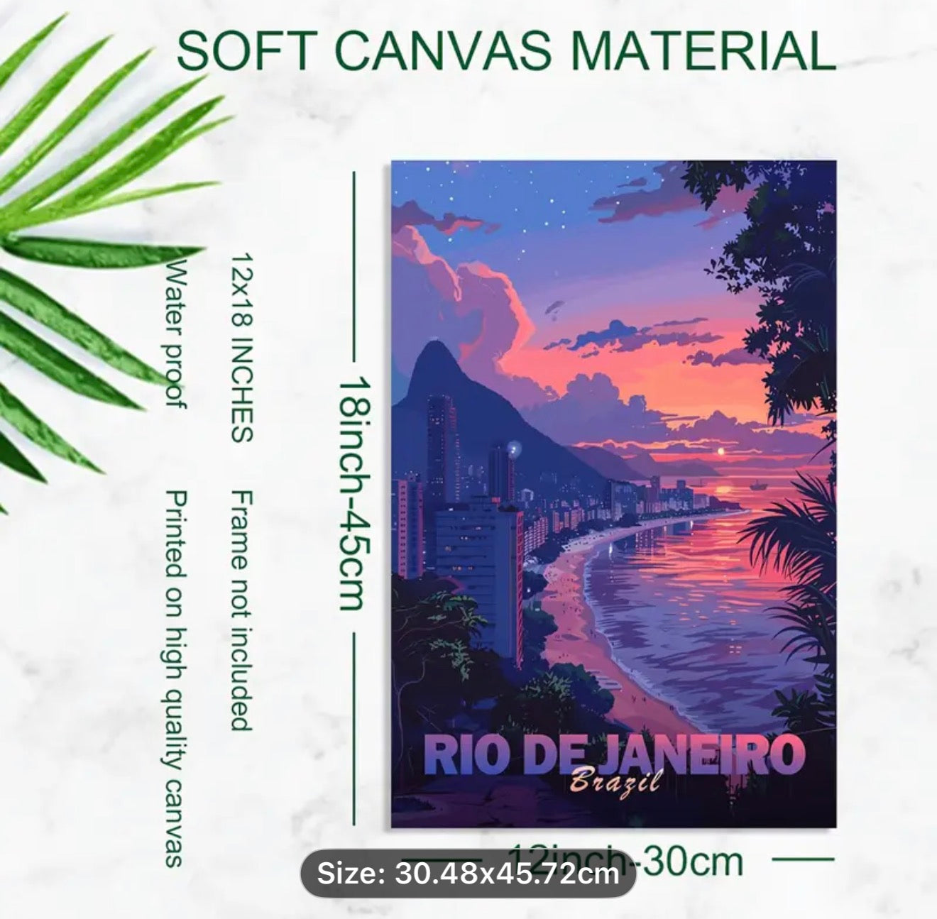Brazilian Canvas Print Rio 2